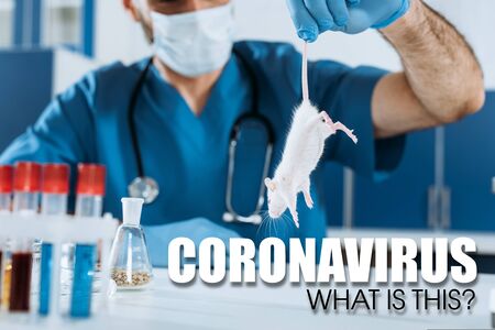 selective focus of veterinarian in medical mask and latex gloves holding white mouse by tail near test tubes, coronavirus illustrationの写真素材
