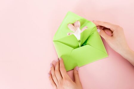 cropped view of woman holding green envelope with alstroemeria flower on pink, mothers day concept
