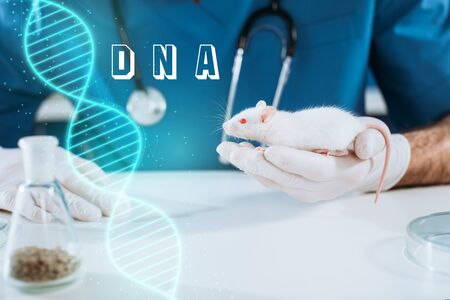 cropped view of veterinarian in latex gloves holding white mouse, dna illustration