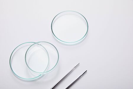 Laboratory glassware and tweezers on grey backgroundの写真素材