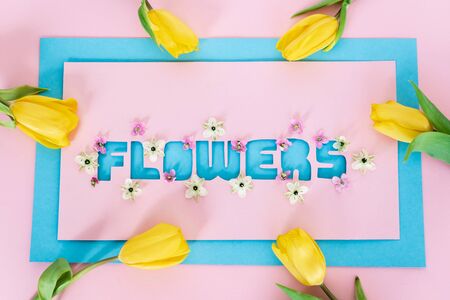 top view of yellow tulips on greeting card with flowers lettering on pink and blueの写真素材