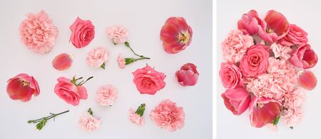 collage of pink spring flowers scattered on white backgroundの写真素材