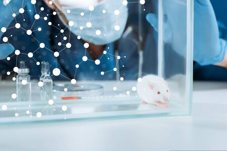 cropped view of veterinarian in medical mask and latex gloves touching glass box with white mouse near ampules and containers with medicinesの写真素材