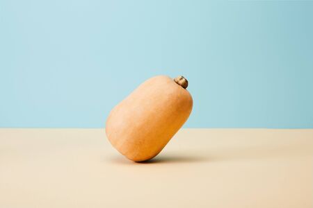 fresh ripe pumpkin on blue and beigeの写真素材