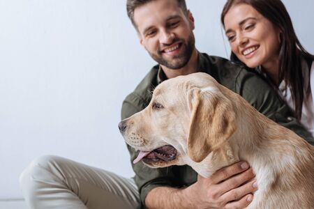 Selective focus of golden retriever sitting near smiling young couple on grey backgroundの写真素材