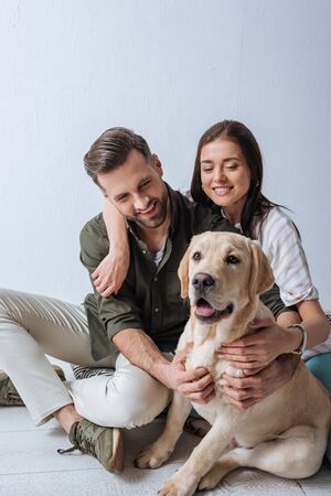 Happy couple stroking golden retriever on floor on grey backgroundの写真素材