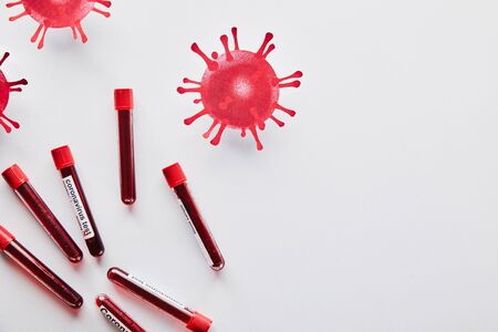 top view of test tubes with blood samples and coronavirus test lettering near drawn virus on whiteの写真素材