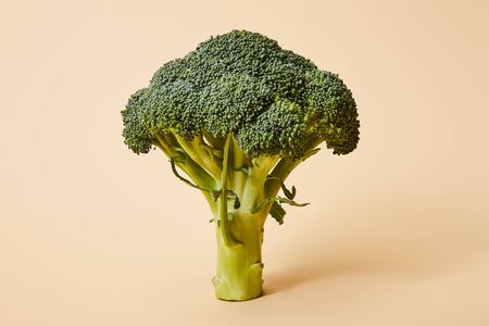 fresh green broccoli on beige with copy spaceの写真素材