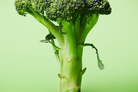 close up of fresh green broccoli on greenの写真素材