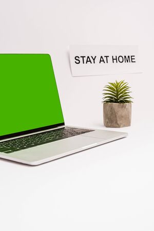 laptop with green screen near plant and paper with stay at home lettering isolated on whiteの写真素材
