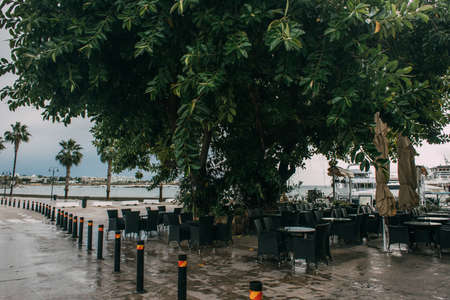 summer terrace with chairs and tables near green treeの写真素材