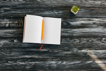 top view of empty notepad, pencil and succulent on dark wooden surface