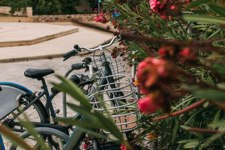 selective focus of bicycle near blooming flowersの写真素材