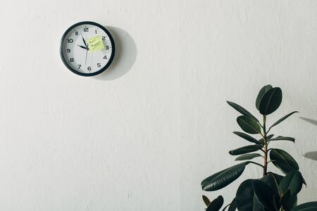Sticky note with dont forget lettering on clock near plant in officeの写真素材