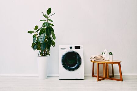 green plant near modern washing machine, coffee table with towels and detergent bottle in bathroomの写真素材