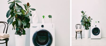 collage of green plants near detergent bottles on washing machines near chairs with towelsの写真素材