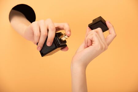 cropped view of woman holding perfume bottle on orange