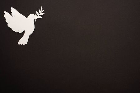 top view of white paper cut dove on black backgroundの写真素材