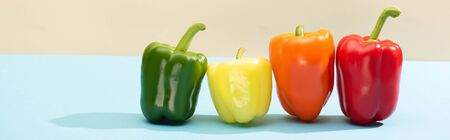 fresh colorful bell peppers on blue surface isolated on beige, panoramic shotの写真素材