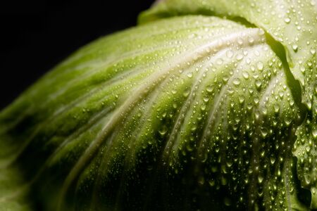 close up view of wet fresh cabbage leaf isolated on black