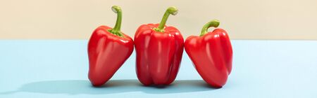 fresh red bell peppers on blue surface isolated on beige, panoramic shotの写真素材