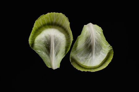 top view of wet green cabbage leaves isolated on black