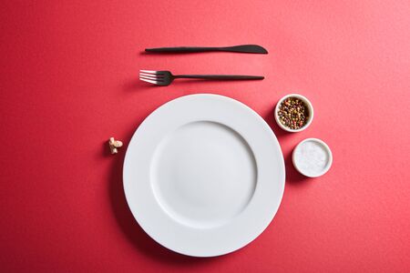 top view of empty round plate with cutlery and salt and pepper in bowls on red backgroundの写真素材