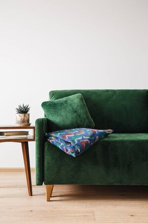 green sofa with blanket near wooden coffee table with plant and books