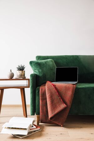 green sofa with blanket and laptop near wooden coffee table with plant and booksの写真素材