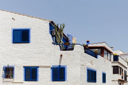 Cactus on house terrace with clear sky at background, Catalonia, Spainの写真素材