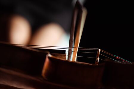 close up of professional violin and bow, selective focusの写真素材
