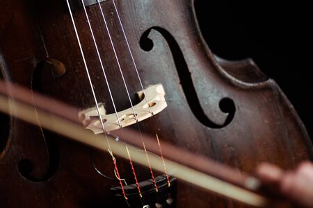close up of double bass and bowの写真素材
