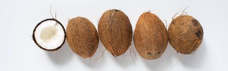 top view of fresh tasty whole coconuts and half on white background, panoramic shotの写真素材