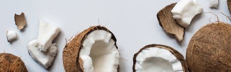 top view of fresh tasty whole and cracked coconuts on white background, panoramic shotの写真素材