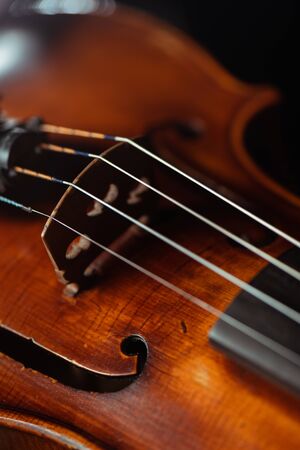close up of professional violin, selective focusの写真素材