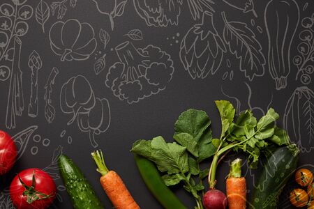 top view of raw nutritious tasty vegetables with green leaves on black background with illustrationの写真素材