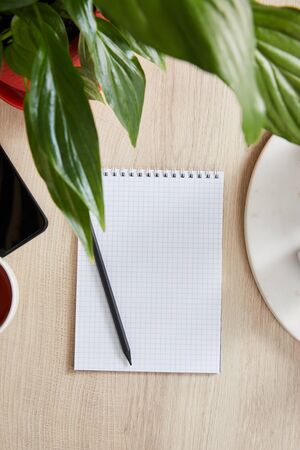 top view of green plant with leaves and blank notebook with pencil on wooden surfaceの写真素材