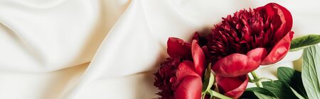 top view of red peonies on white cloth, panoramic shotの写真素材