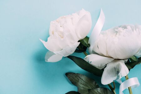 top view of white peonies with ribbon on blue backgroundの写真素材