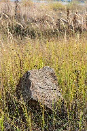 stone on ground near green grass in fieldの写真素材