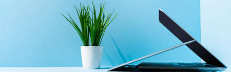 modern laptops on blue workplace with green plant, panoramic shotの写真素材
