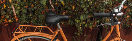Panoramic crop of wet bicycle near plants on urban street