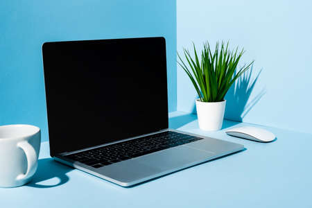 modern laptop with computer mouse near green plant and mug on blue backgroundの写真素材