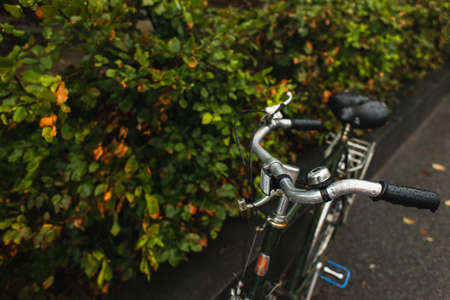 Selective focus of wet steering wheel of bicycle near bushes on urban streetの写真素材