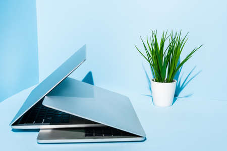 modern laptops on blue workplace with green plantの写真素材