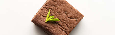 top view of delicious brownie piece with mint on white background, panoramic shotの写真素材