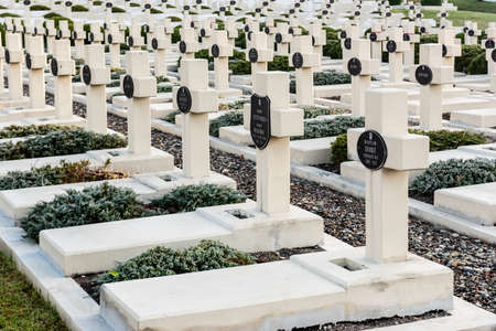 LVIV, UKRAINE - OCTOBER 23, 2019: graves with crosses and lettering near green plants on lviv...