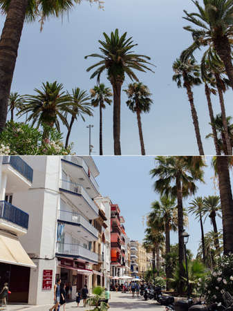 CATALONIA, SPAIN - APRIL 30, 2020: Collage of palm trees with blue sky at background and people walking on urban streetのeditorial素材