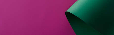 green paper swirl on purple background, panoramic shotの写真素材