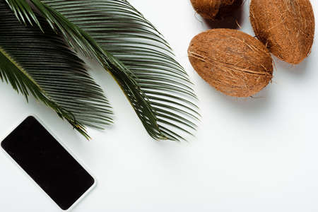 top view of green palm leaves, coconuts and smartphone on white background